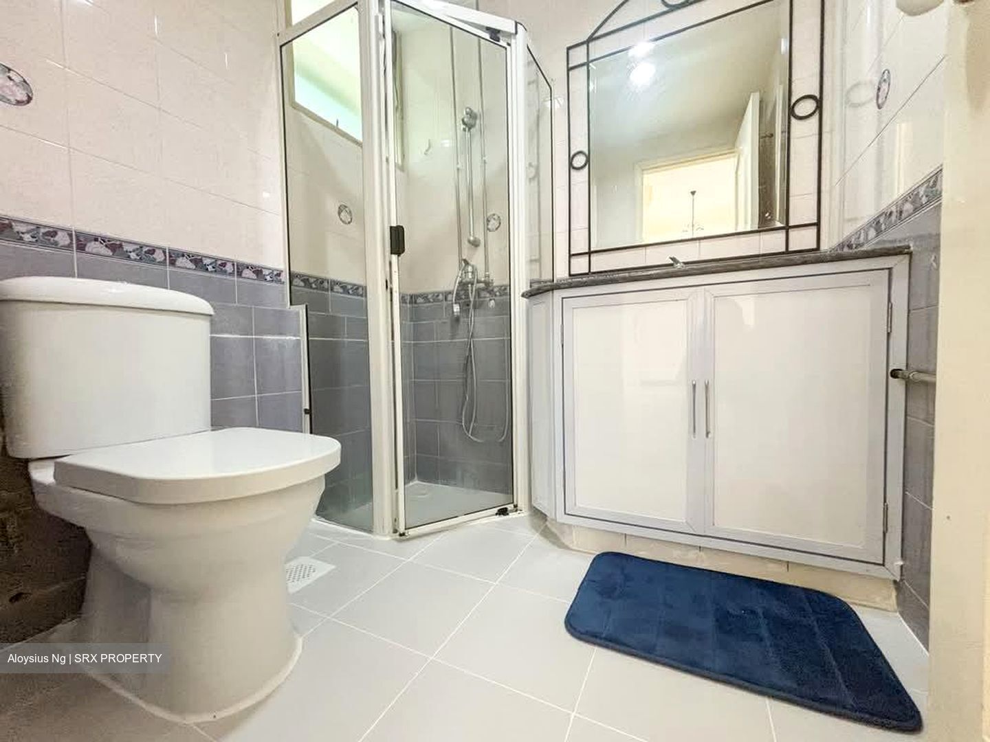Astoria Park (D14), Condominium #557581181